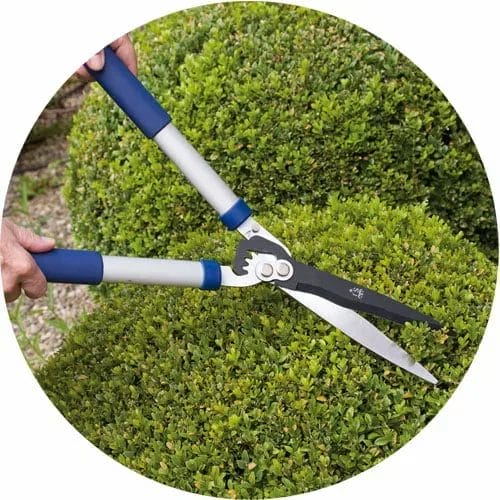 Spear & Jackson Razorsharp Advance Hand Shears-1469